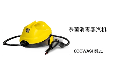 殺菌消毒蒸汽機(jī)